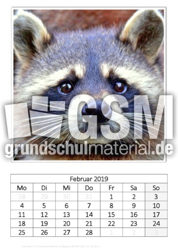 Februar_Waschbär.pdf